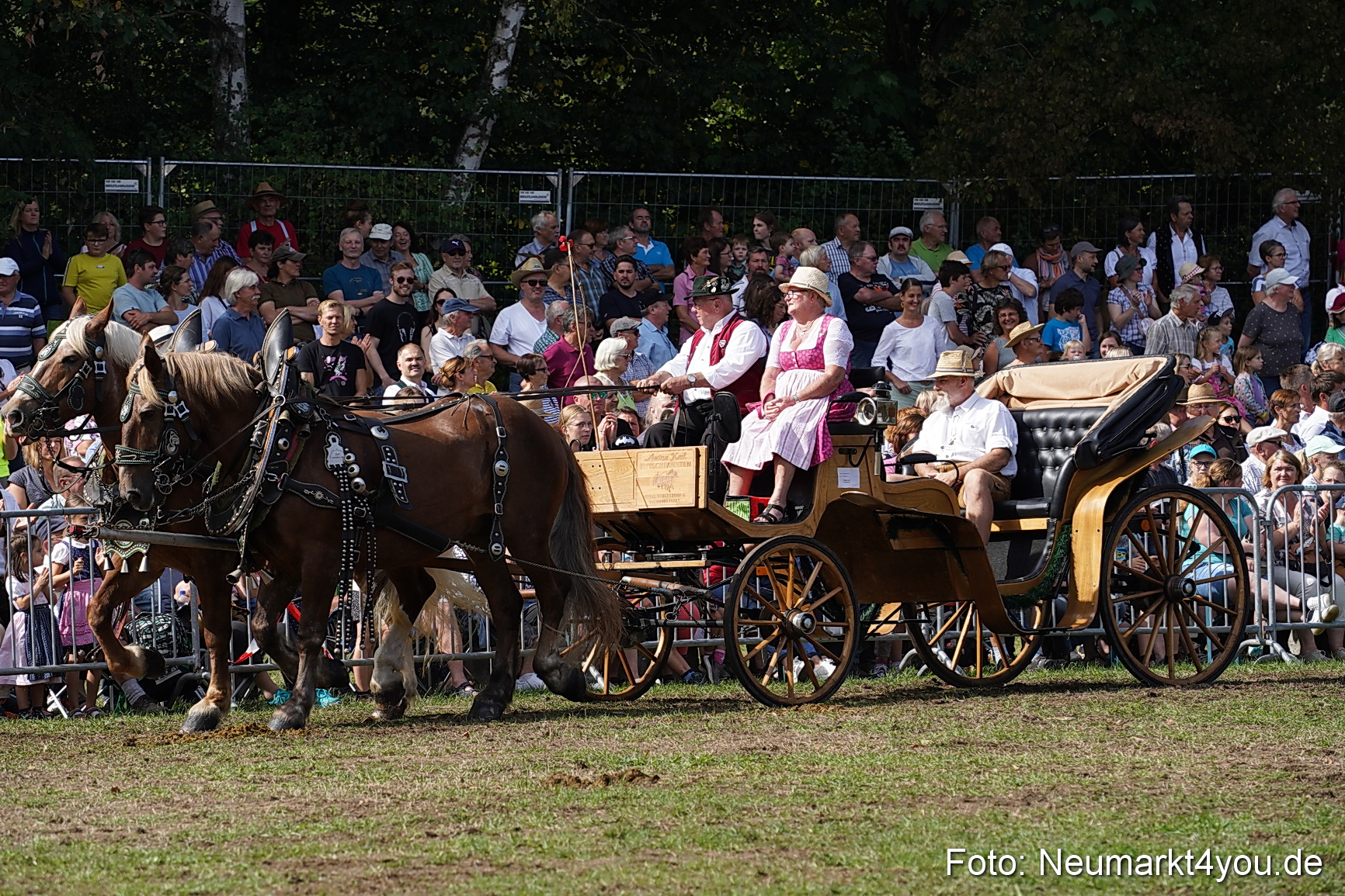 Pferde und Fohlenschau 2022 0210 